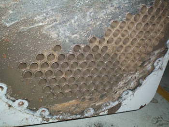 1644464494544653.jpg 4.jpg